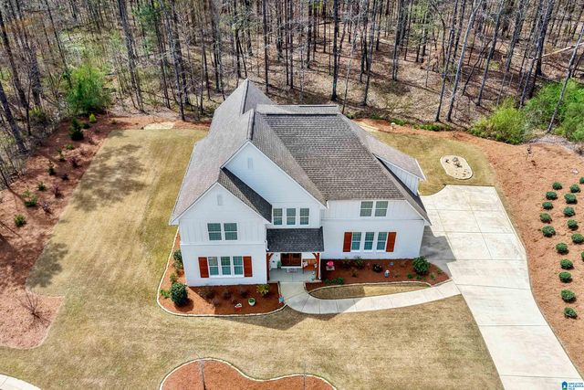 3378 RIVER BIRCH TRAIL, Chelsea, AL 35043
