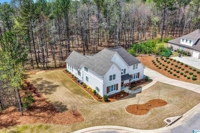 3378 RIVER BIRCH TRAIL, Chelsea, AL 35043