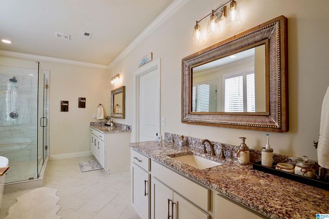 3378 RIVER BIRCH TRAIL, Chelsea, AL 35043