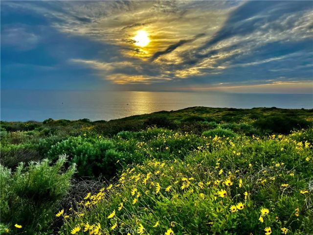 26972 Mill Pond Road 30, Dana Point, CA 92624