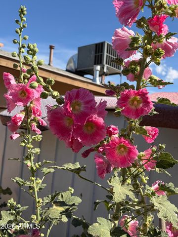 3428 W Banff Lane, Phoenix, AZ 85053