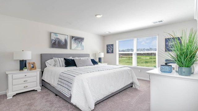 622 Strawberry Field Way, Galivants Ferry, SC 29544