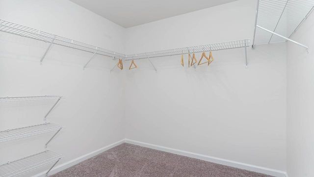 622 Strawberry Field Way, Galivants Ferry, SC 29544