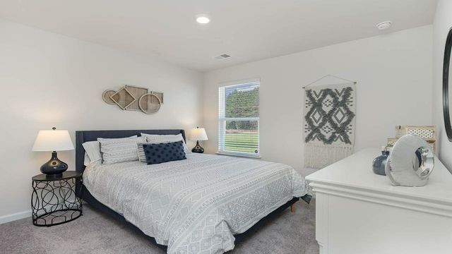 622 Strawberry Field Way, Galivants Ferry, SC 29544
