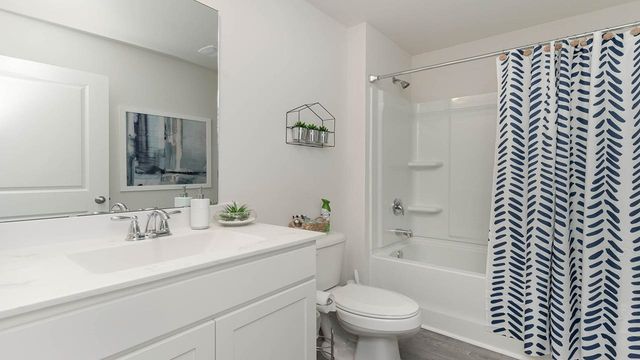 622 Strawberry Field Way, Galivants Ferry, SC 29544