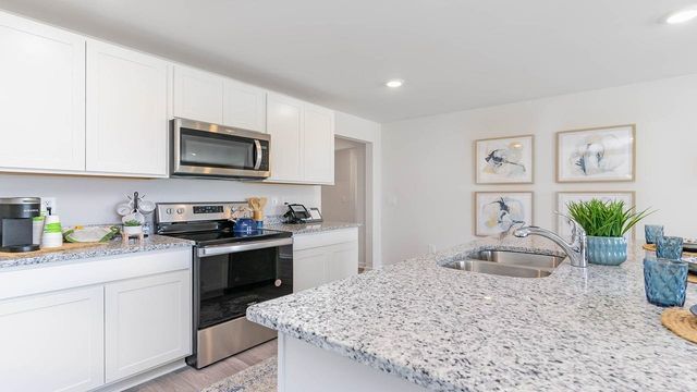 622 Strawberry Field Way, Galivants Ferry, SC 29544