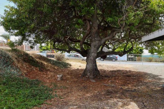 977 Cuyamaca Avenue, Chula Vista, CA 91911