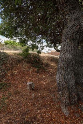 977 Cuyamaca Avenue, Chula Vista, CA 91911