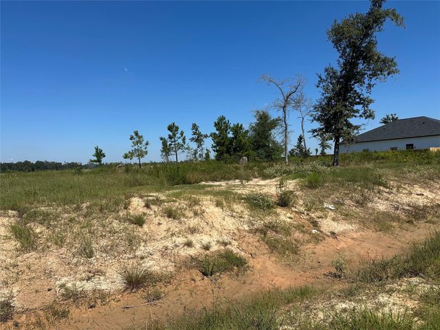 1025 Exotic Pine Street, Huffman, TX 77336