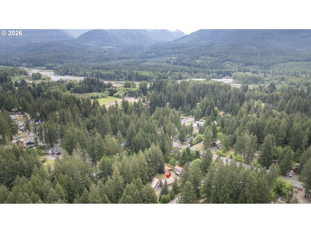 100 ASPEN Ln, Packwood, WA 98361