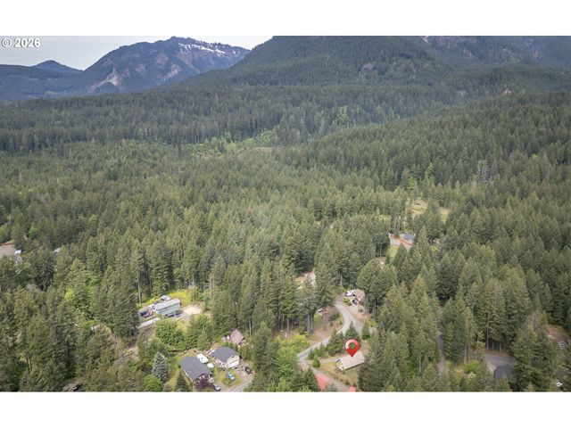 100 ASPEN Ln, Packwood, WA 98361