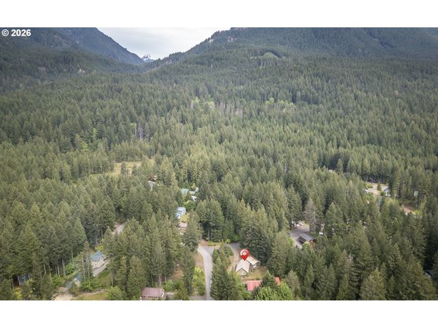 100 ASPEN Ln, Packwood, WA 98361