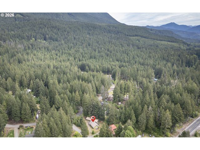 100 ASPEN Ln, Packwood, WA 98361