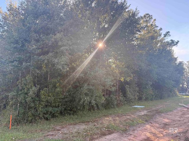 919 Hickory Street, Foley, AL 36535