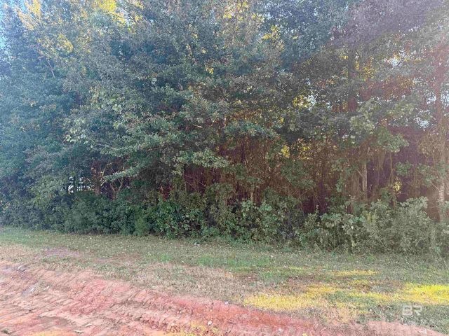 919 Hickory Street, Foley, AL 36535