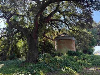 919 Hickory Street, Foley, AL 36535