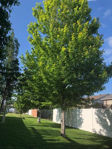 4788 Clock Tower Lane S, Fargo, ND 58104