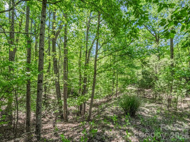 206 Westmoreland Trail 8, Tryon, NC 28782