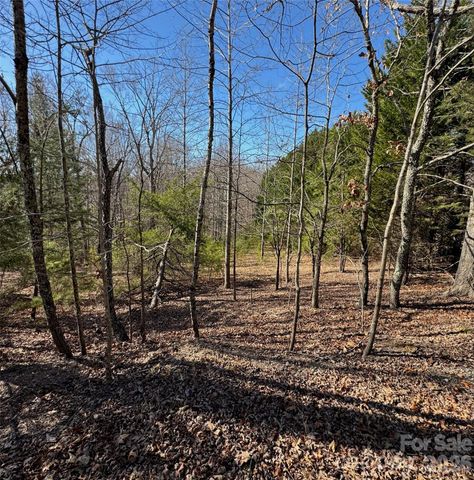 206 Westmoreland Trail 8, Tryon, NC 28782