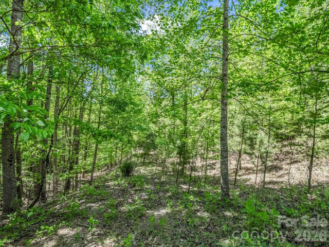 206 Westmoreland Trail 8, Tryon, NC 28782