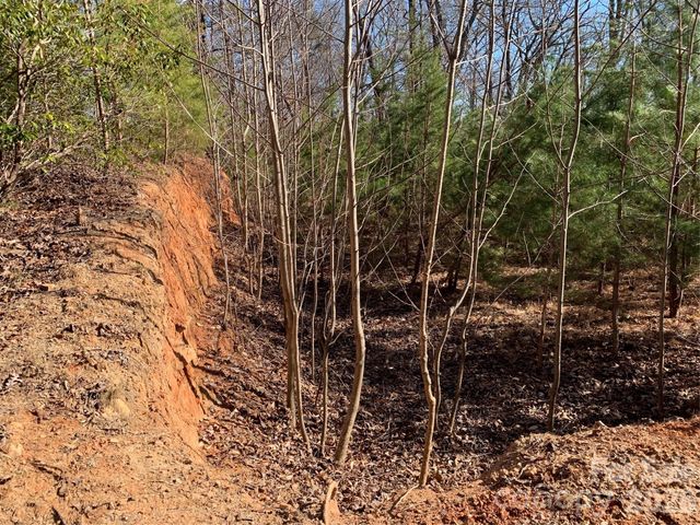 206 Westmoreland Trail 8, Tryon, NC 28782