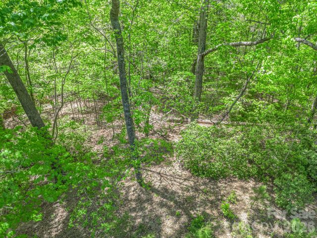 206 Westmoreland Trail 8, Tryon, NC 28782