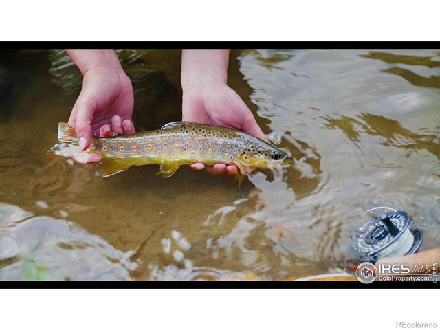 37797 W Highway 14, Bellvue, CO 80512