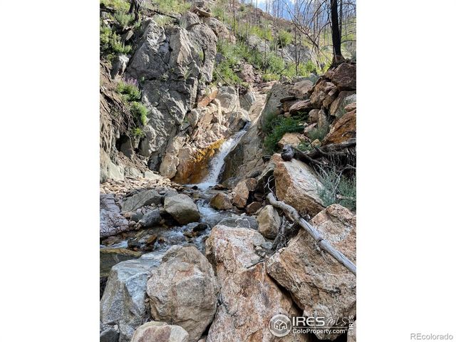 37797 W Highway 14, Bellvue, CO 80512