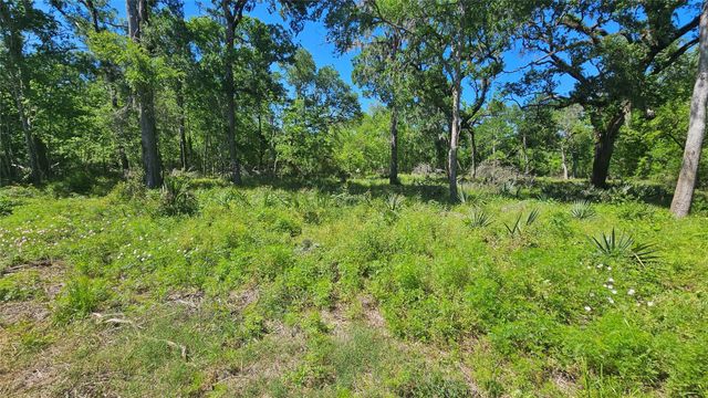 248 Middle Bayou Trail, Angleton, TX 77515