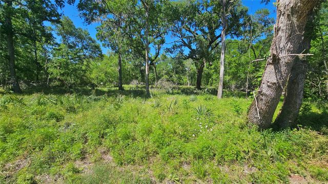 248 Middle Bayou Trail, Angleton, TX 77515