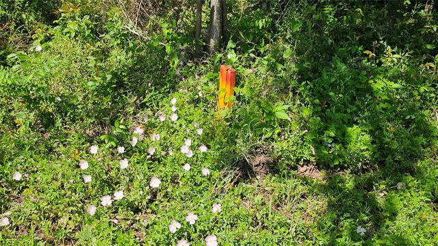 248 Middle Bayou Trail, Angleton, TX 77515