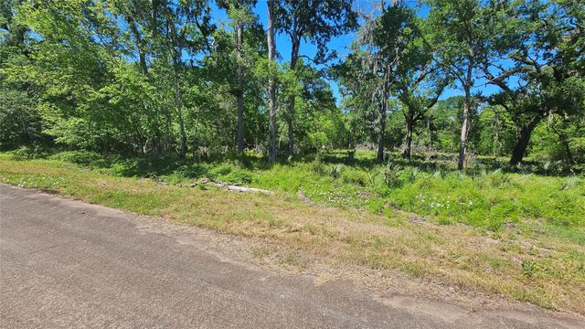 248 Middle Bayou Trail, Angleton, TX 77515