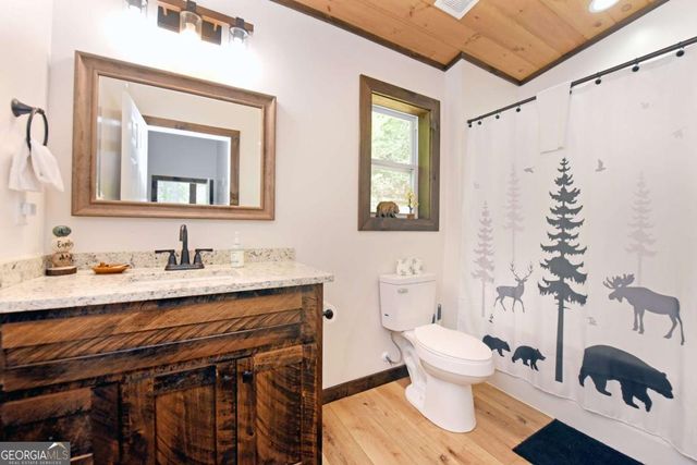 709 Lyric Lane, Ellijay, GA 30540