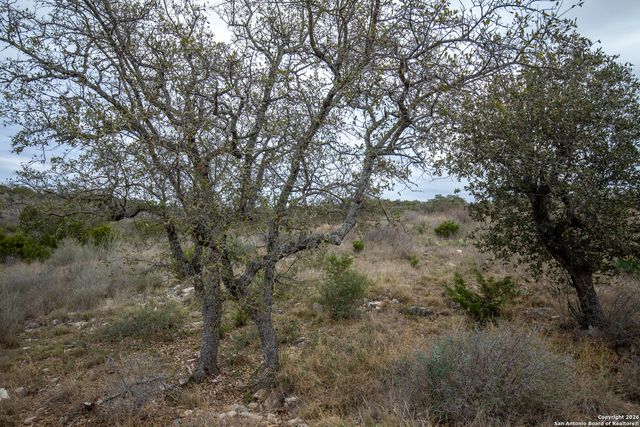 LOT 94 Hidden Cove, Kingsland, TX 78639