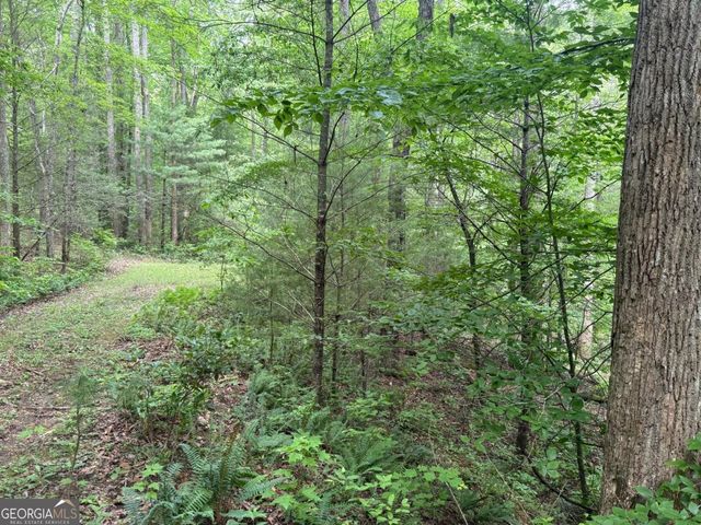 1 AC Spiva Cove Circle, Blairsville, GA 30512