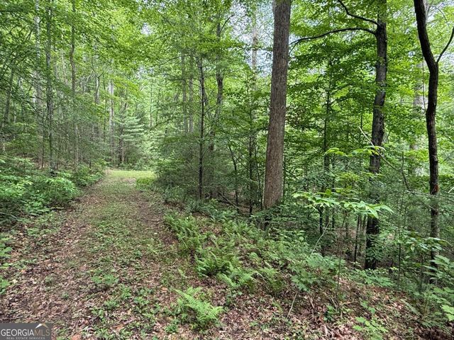 1 AC Spiva Cove Circle, Blairsville, GA 30512