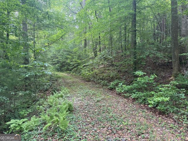 1 AC Spiva Cove Circle, Blairsville, GA 30512