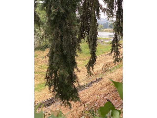 2850 RIVIERA Ct, Springfield, OR 97477