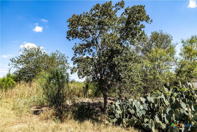 TBD Lot 2 Track Road, Dale, TX 78616