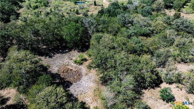 TBD Lot 2 Track Road, Dale, TX 78616