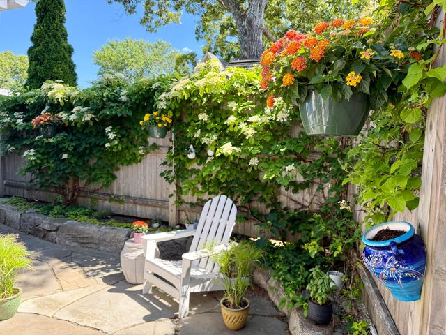 6 Pleasant Avenue, Harwich Port, MA 02646