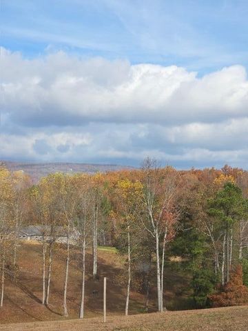 325 Henderson Road, Evensville, TN 37332