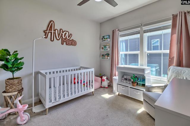 1167 Beechfern Circle, Elgin, SC 29045