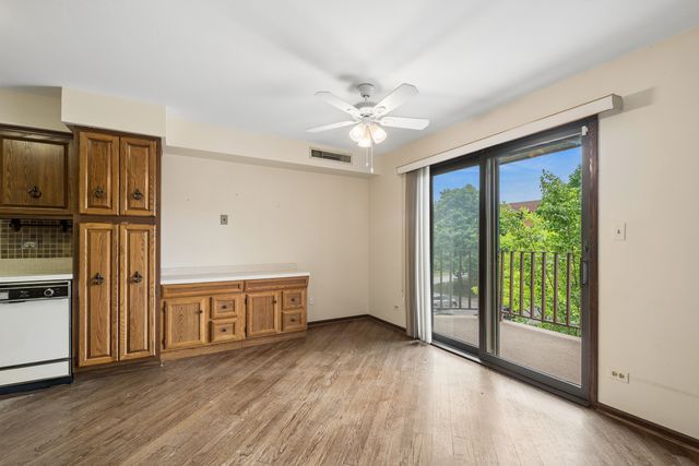 125 Boardwalk Place 201, Park Ridge, IL 60068