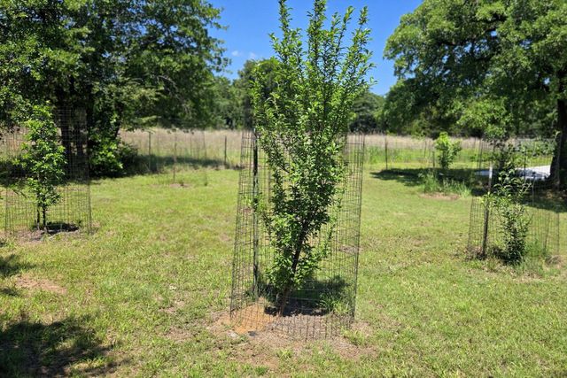 748 County Road 1560, Chico, TX 76431