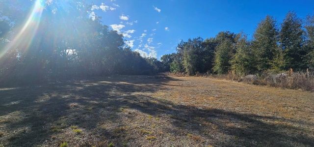 E CLEVELAND STREET, Apopka, FL 32703