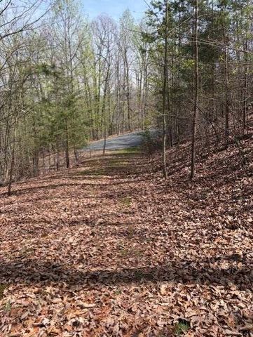 0 Brumby Run, Blairsville, GA 30512