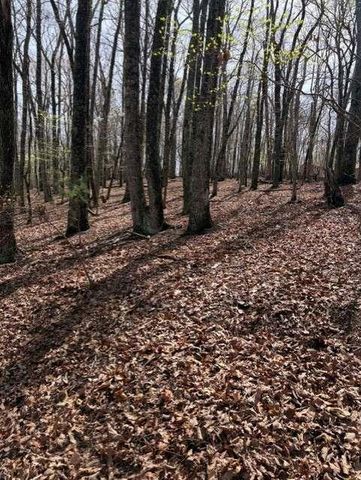 0 Brumby Run, Blairsville, GA 30512