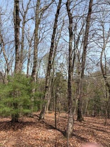0 Brumby Run, Blairsville, GA 30512