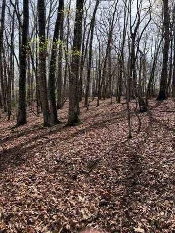 0 Brumby Run, Blairsville, GA 30512